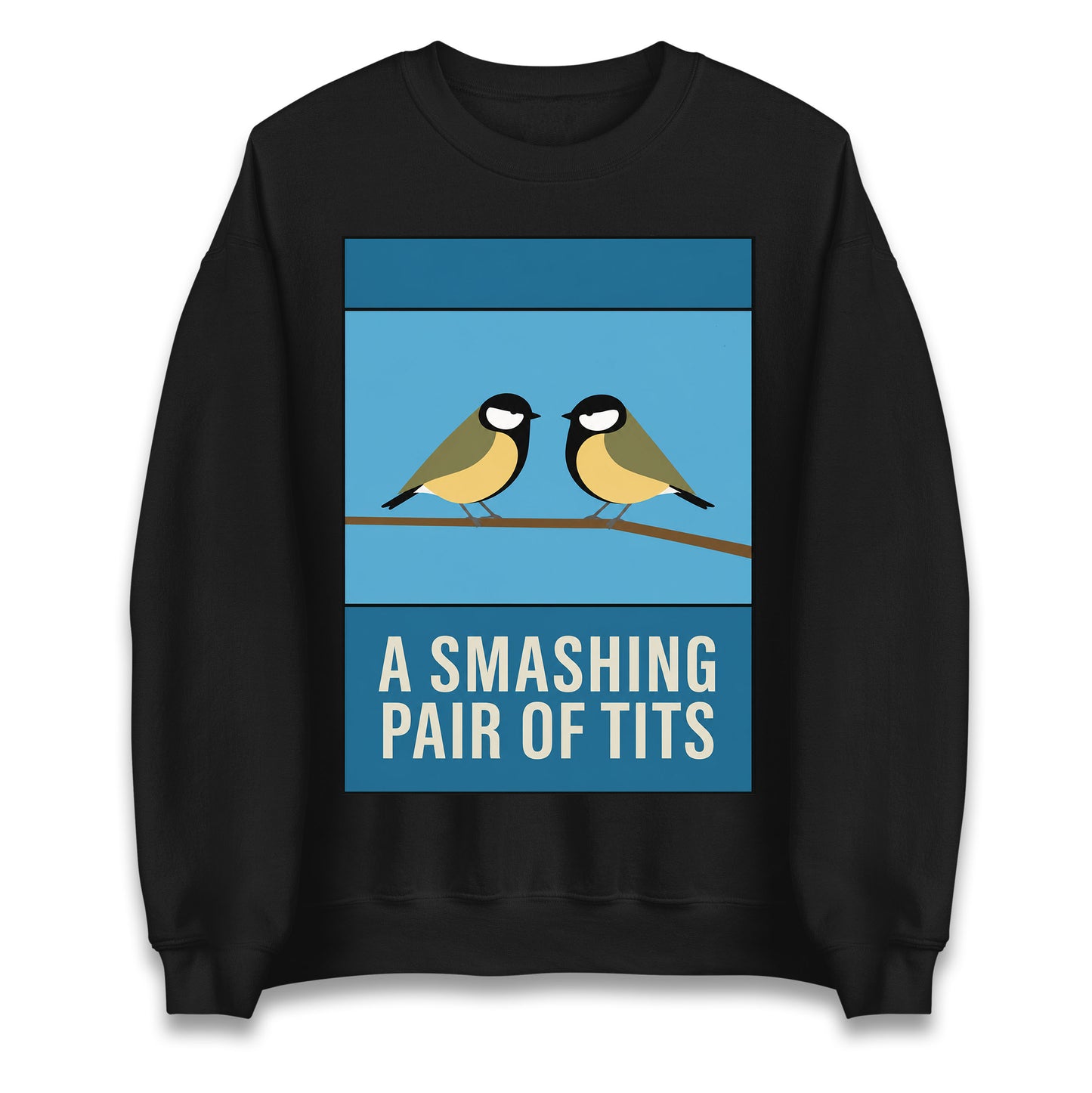 A Smashing Pair Of Tits Jumper