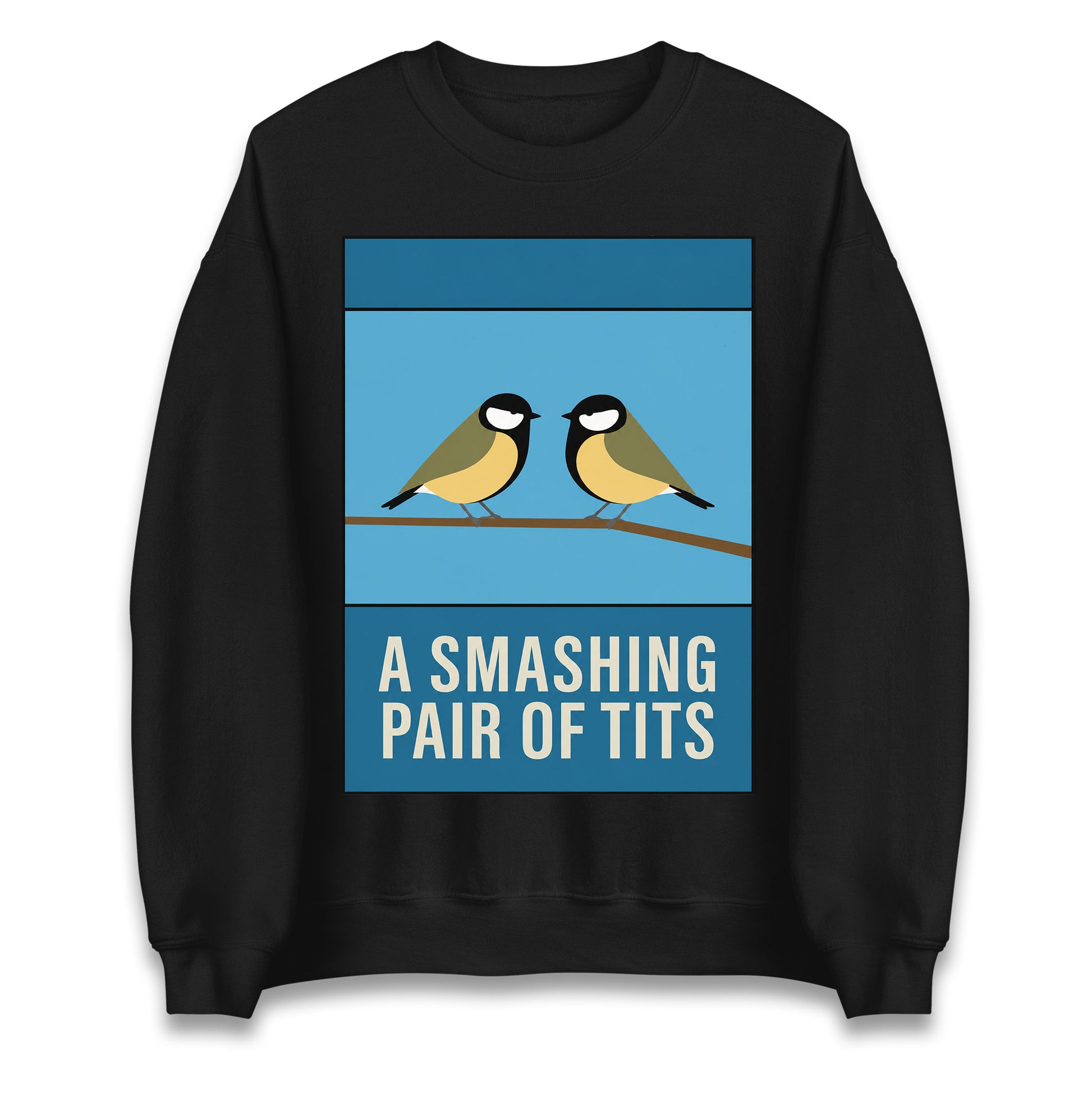 A Smashing Pair Of Tits Jumper