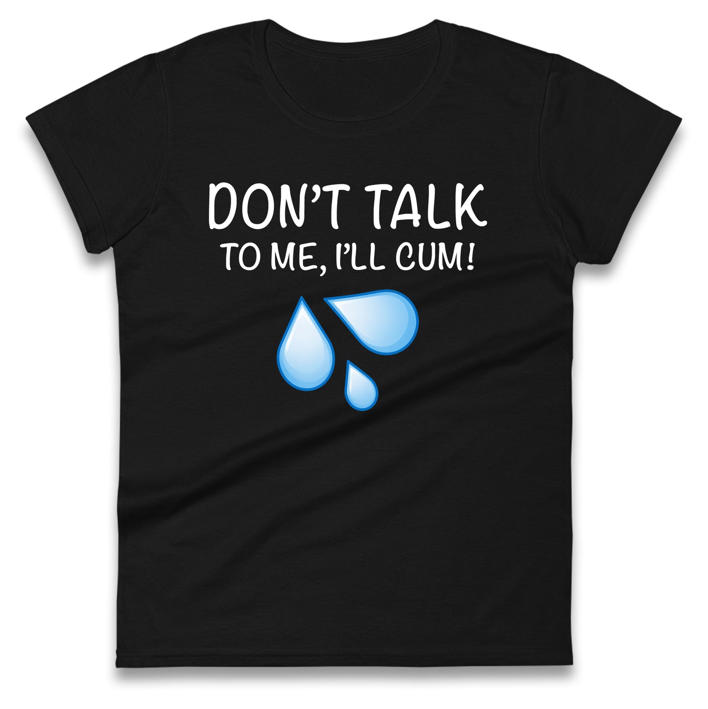 Don't Talk To Me I'll Cum Ladies T Shirt