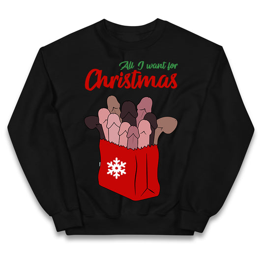 All I Want For Christmas Santa Bag Funny Jumper