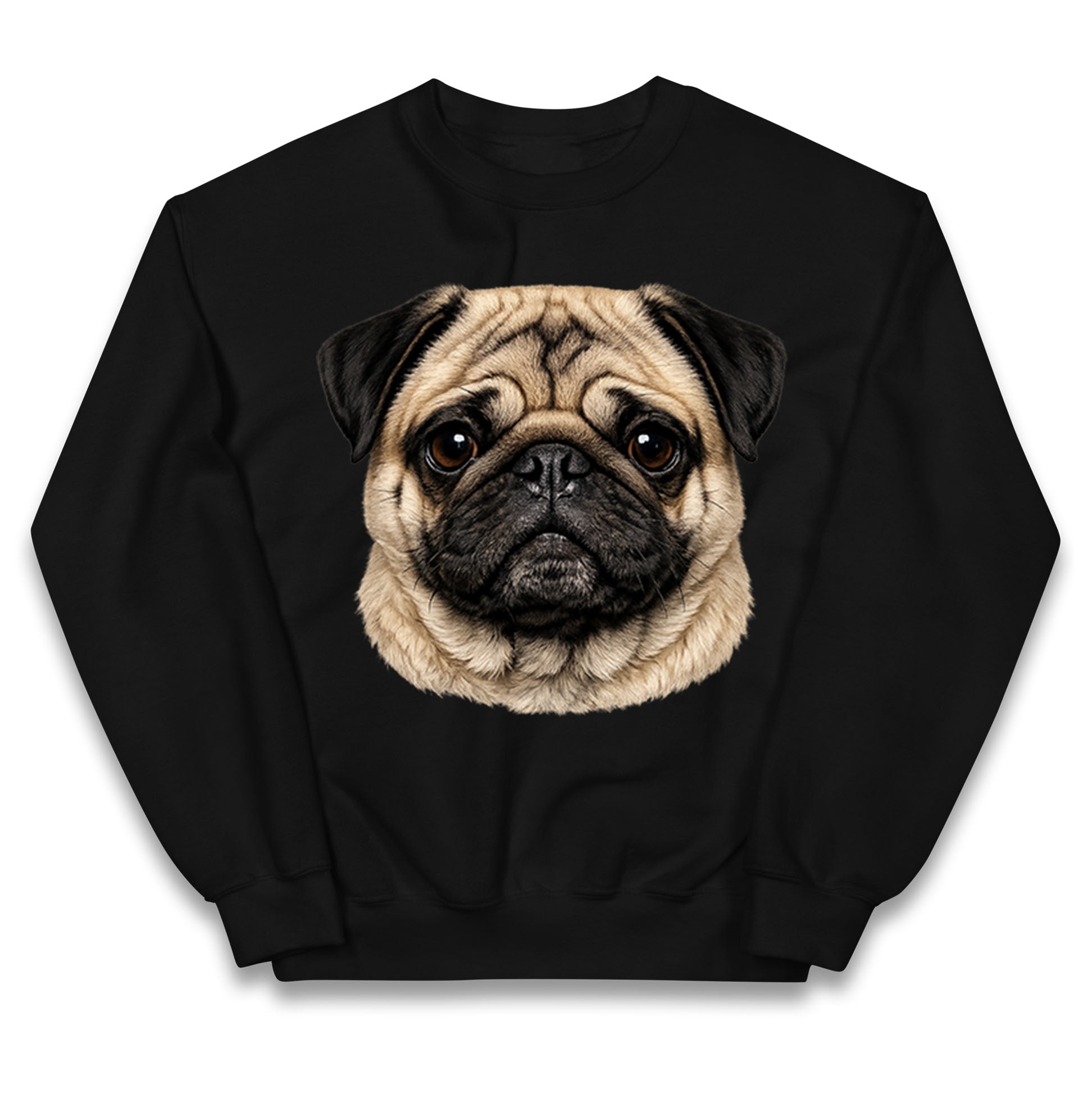 Pug Dog Face Kids Jumper