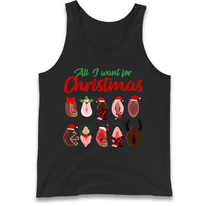 All I Want For Christmas Vagina Funny Tank Top