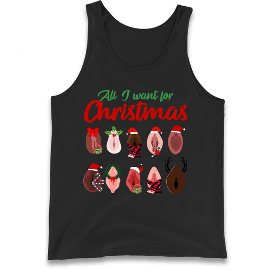 All I Want For Christmas Vagina Funny Tank Top