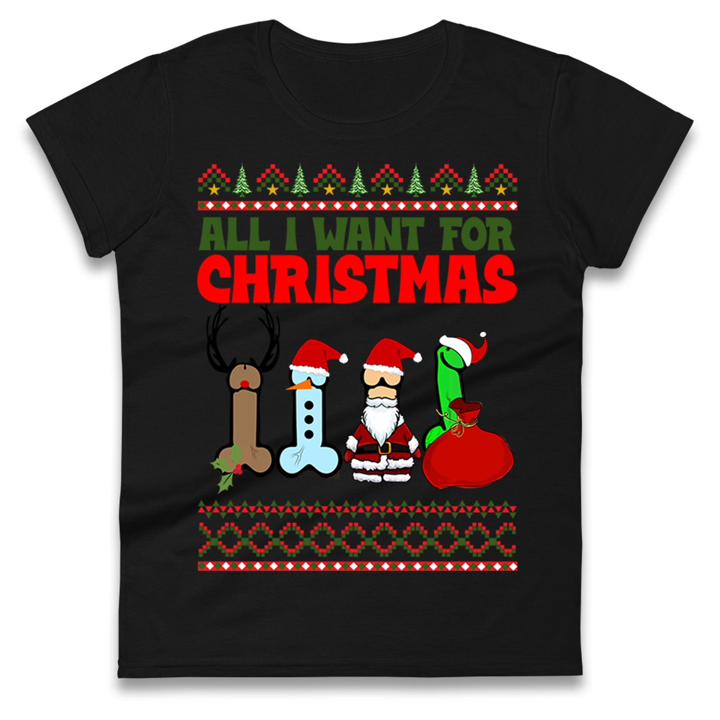 All I Want For Christmas Funny T Shirt