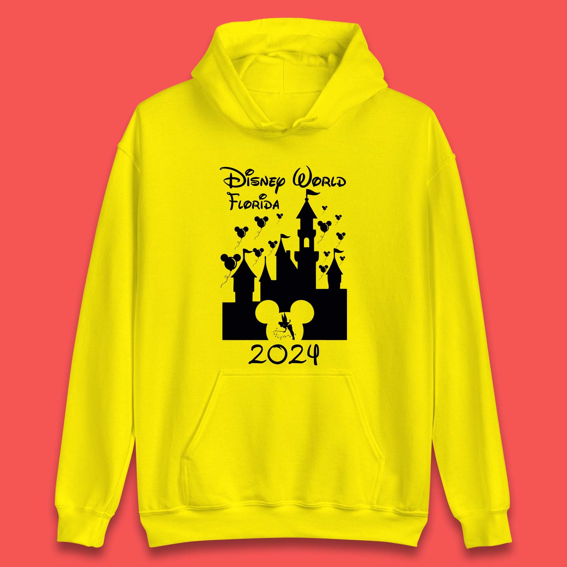 Disneyworld Florida Family Hoodie UK