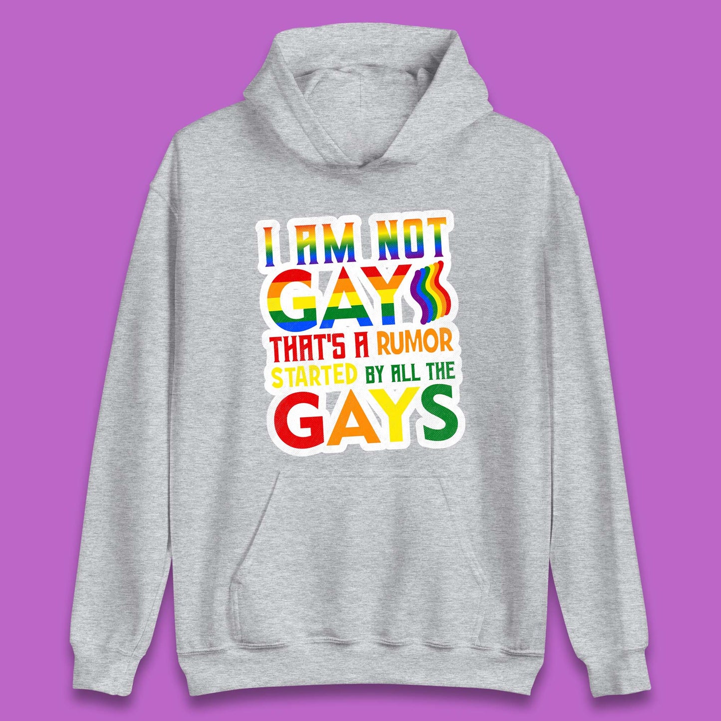 I Am Not Gay Unisex Hoodie