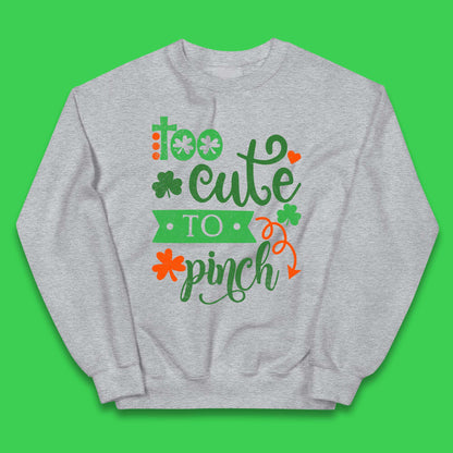 Too Cute To Pinch Kids Jumper