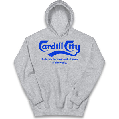 Cardiff City FC Football Kids Hoodie