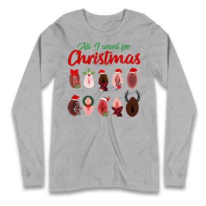 All I Want For Christmas Vagina Funny T Shirt