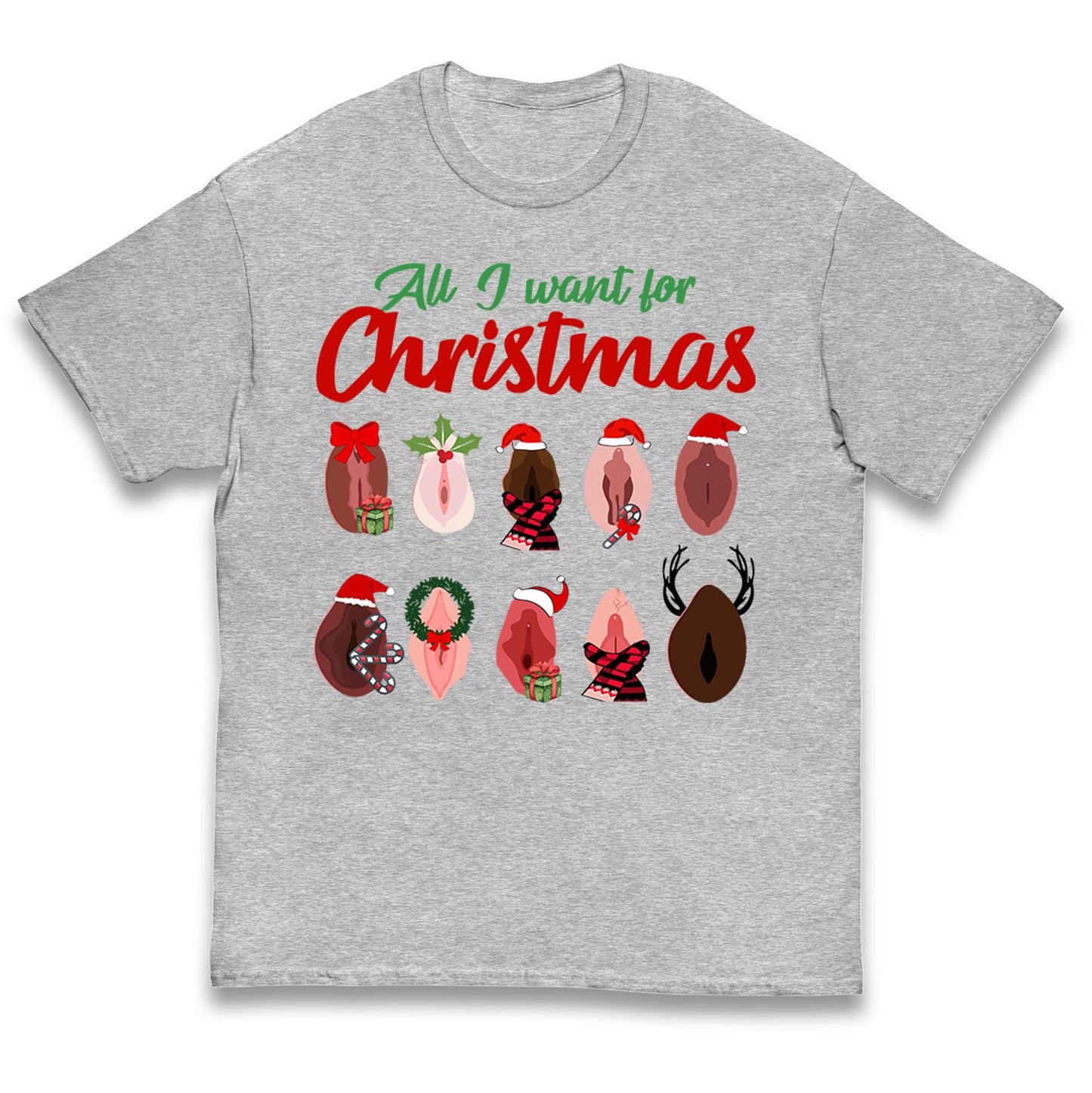 All I Want For Christmas Vagina Funny T Shirt