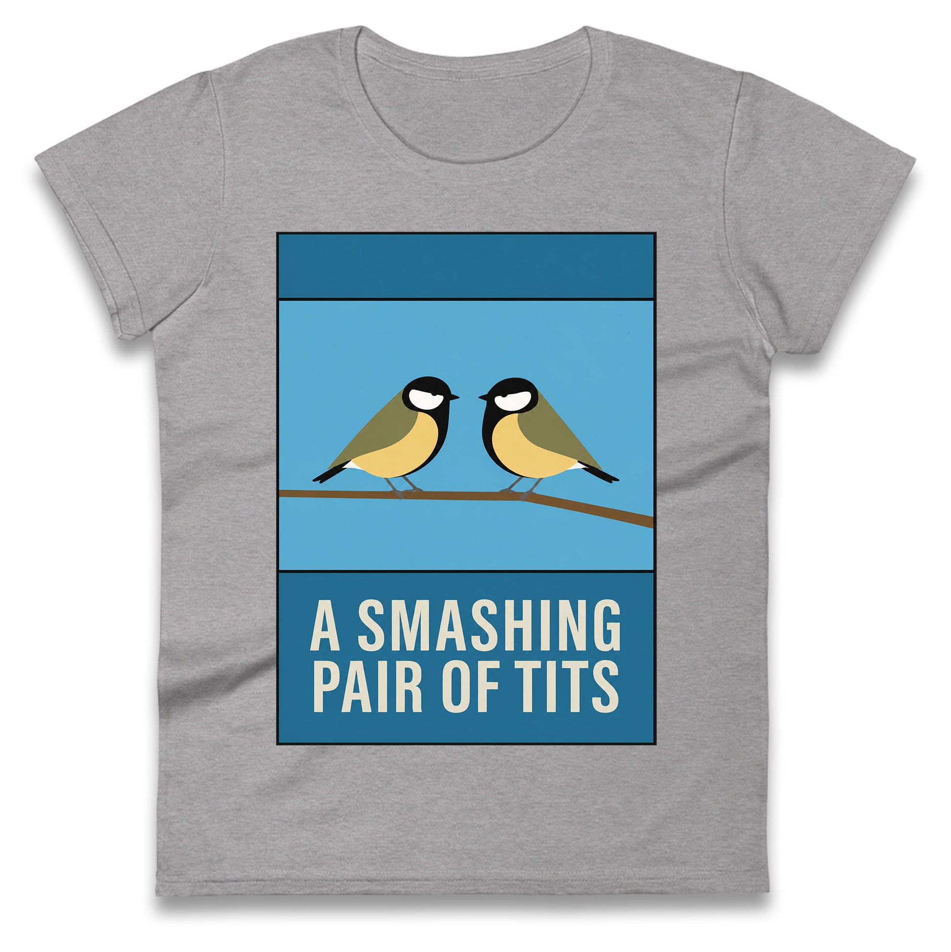 A Smashing Pair Of Tits Ladies T Shirt
