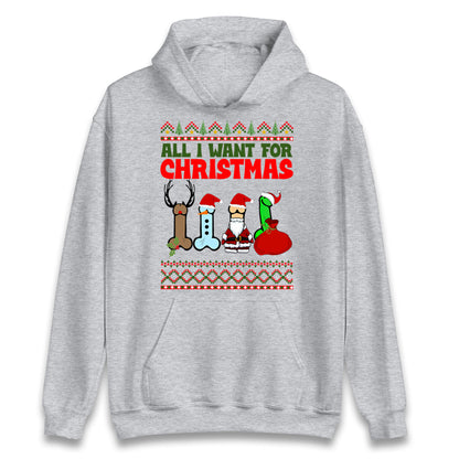 All I Want For Christmas Funny Adults Joke Hoodie