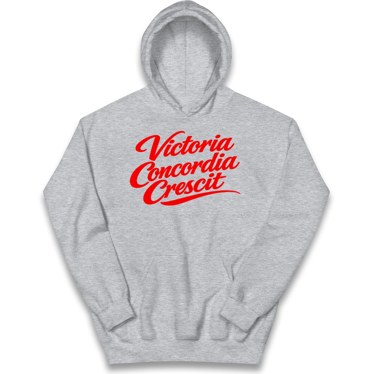 Arsenal Motto Kids Hoodie