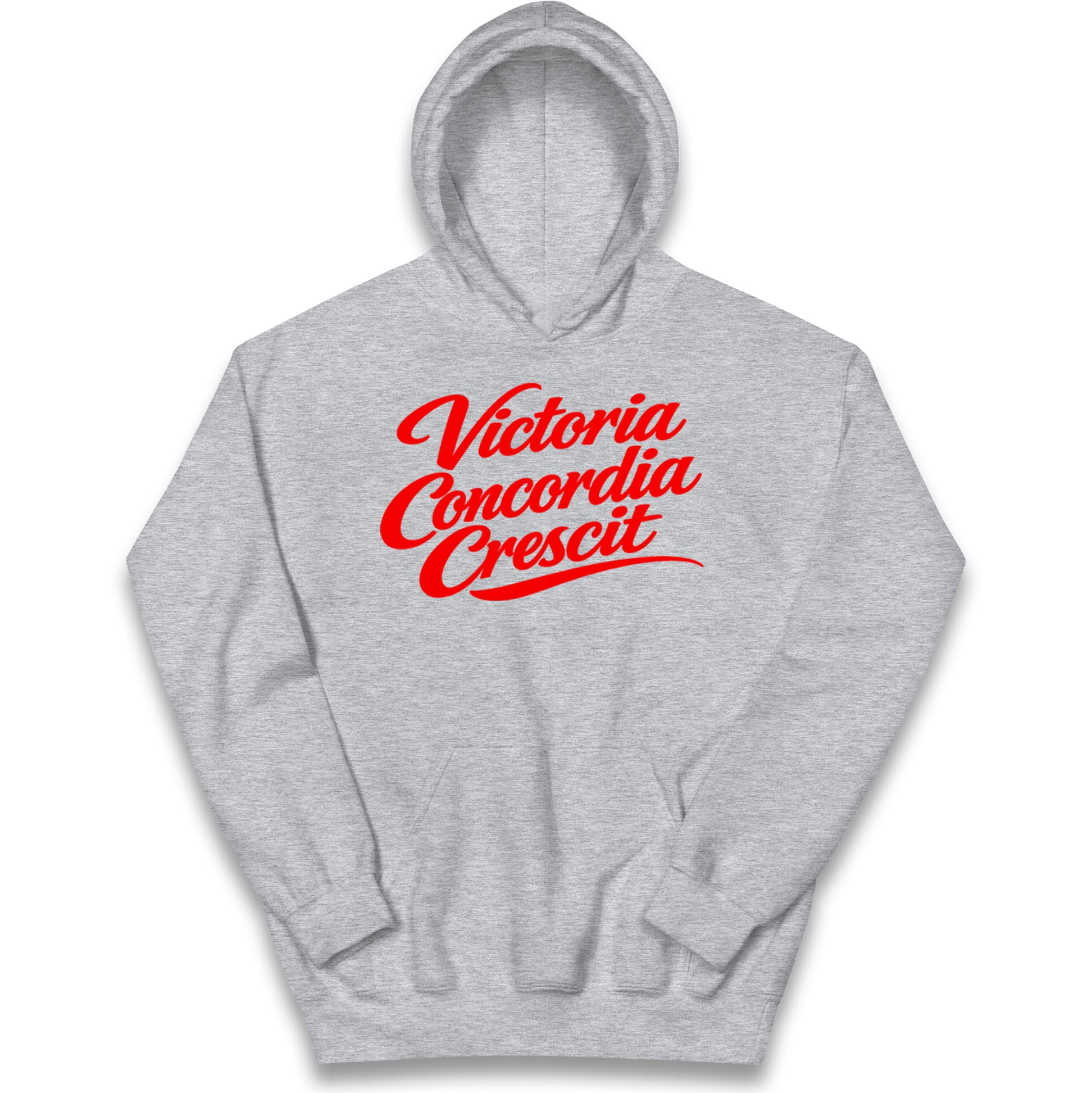 Arsenal Motto Kids Hoodie