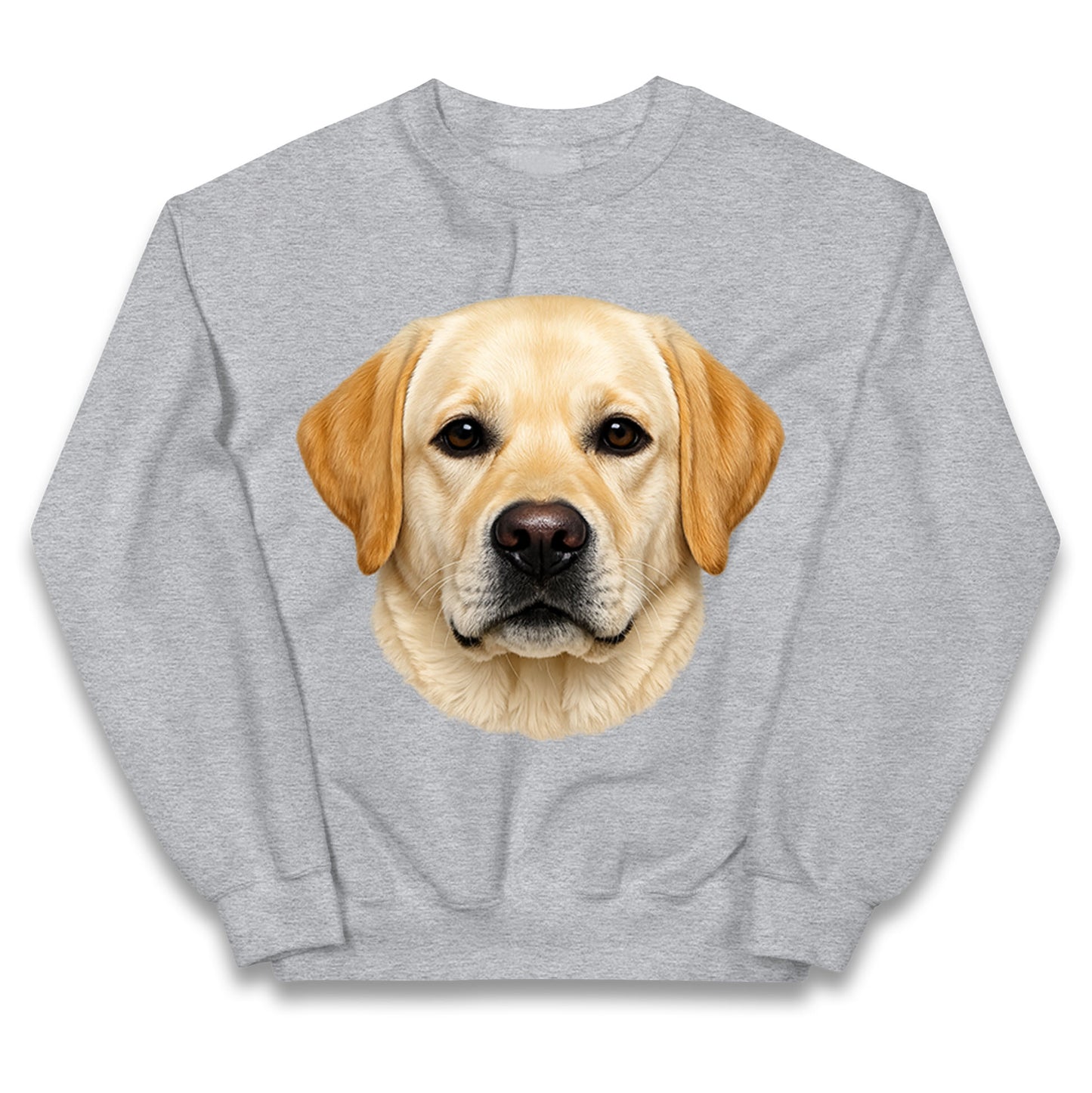 Labrador Dog Face Kids Jumper