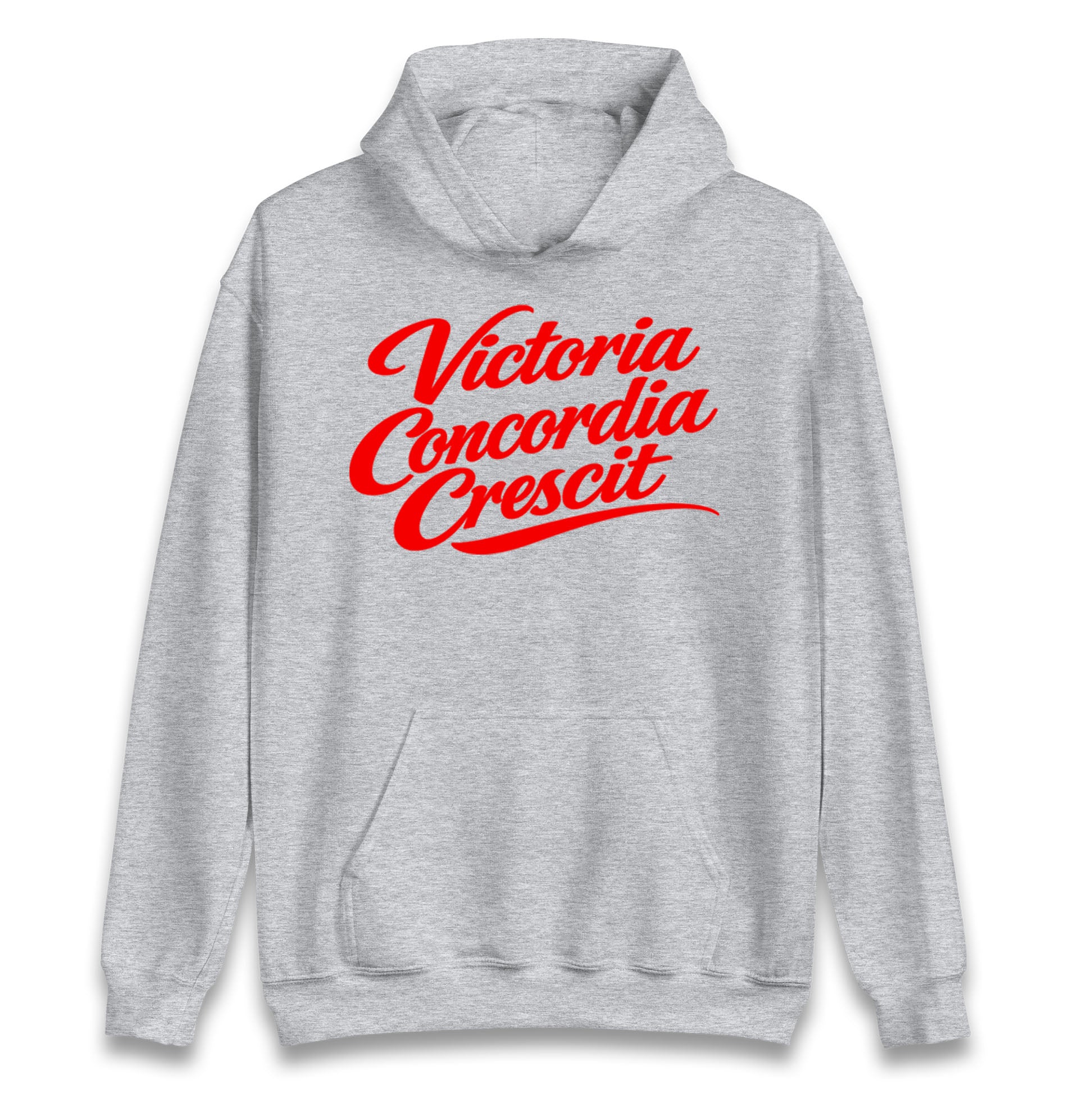 Arsenal Motto Hoodie