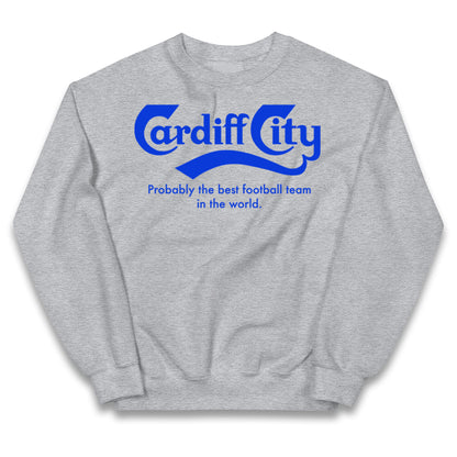 Cardiff City FC Football Kids Jumper