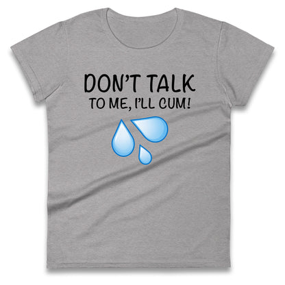Don't Talk To Me I'll Cum Ladies T Shirt