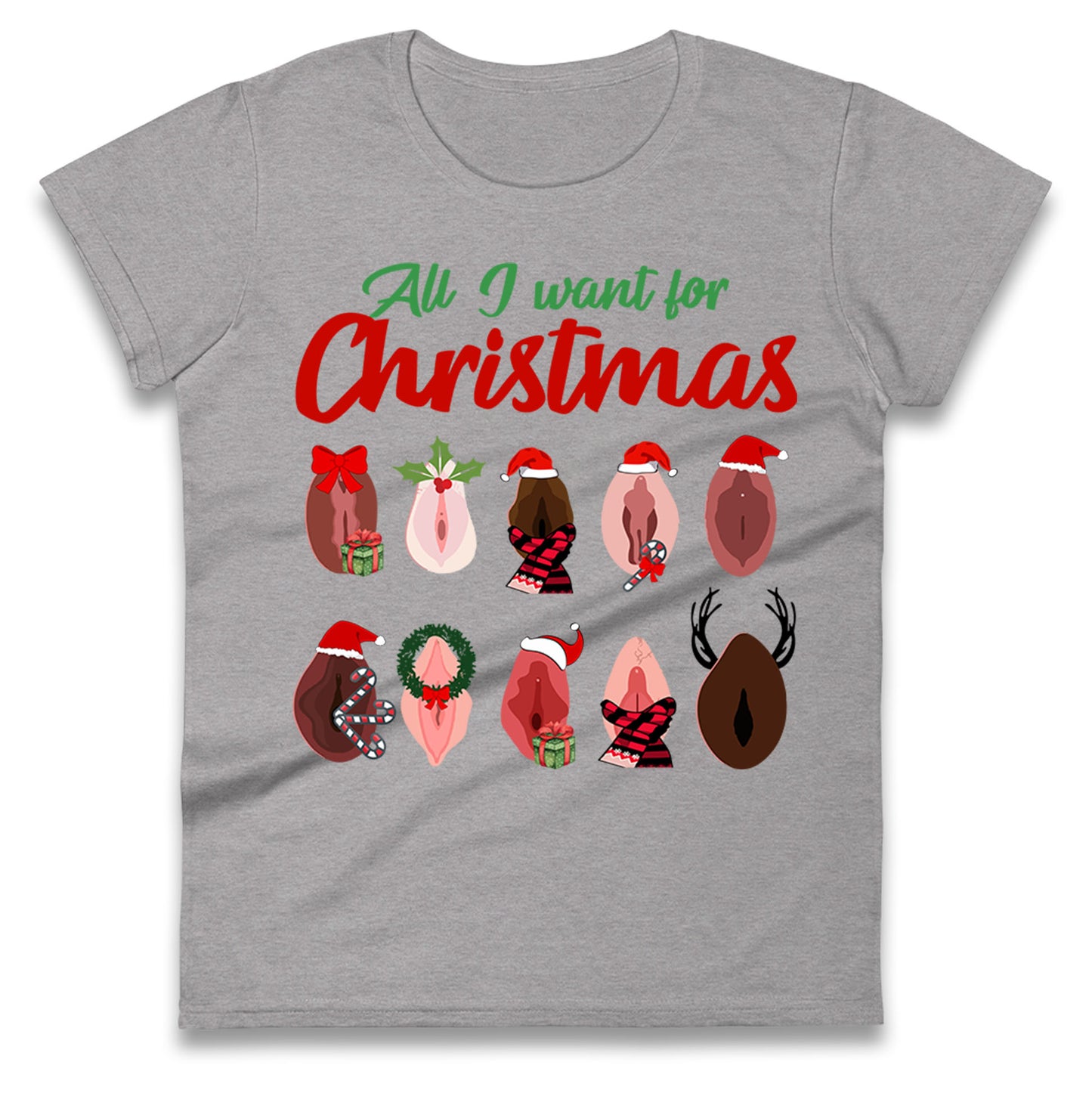 All I Want For Christmas Vagina Funny T Shirt