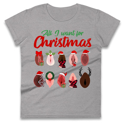 All I Want For Christmas Vagina Funny T Shirt