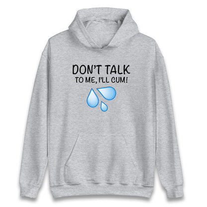 Don't Talk To Me I'll Cum Hoodie