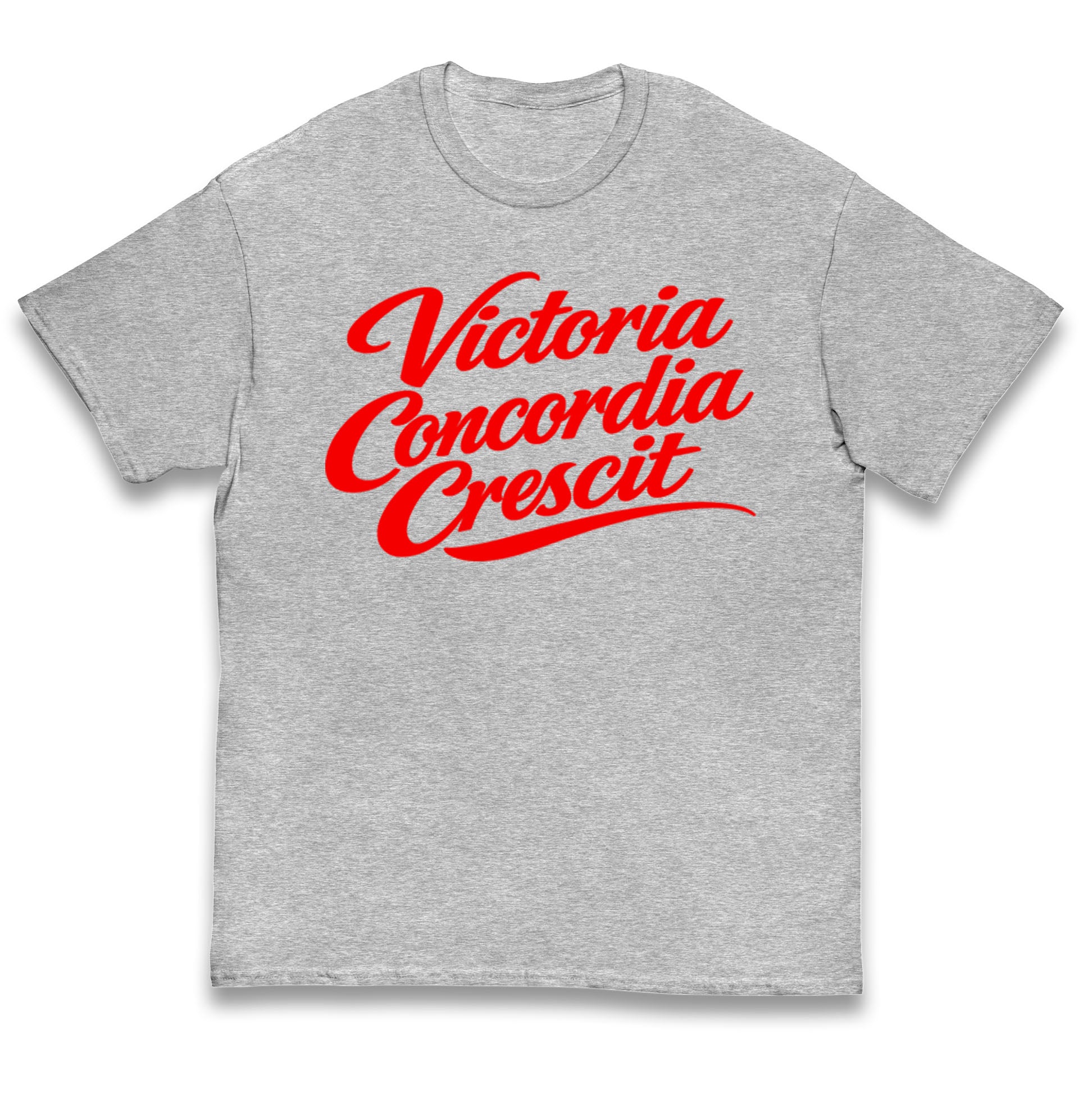 Arsenal Motto Kids T Shirt