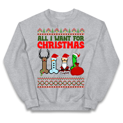 All I Want For Christmas Funny Adults Joke Jumper