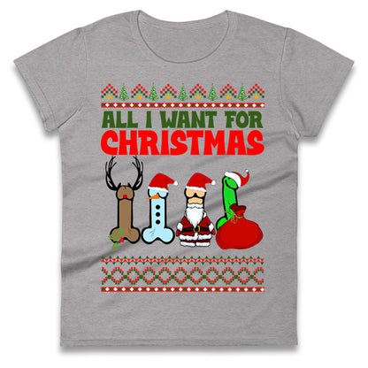 All I Want For Christmas Funny Adults Joke T Shirt