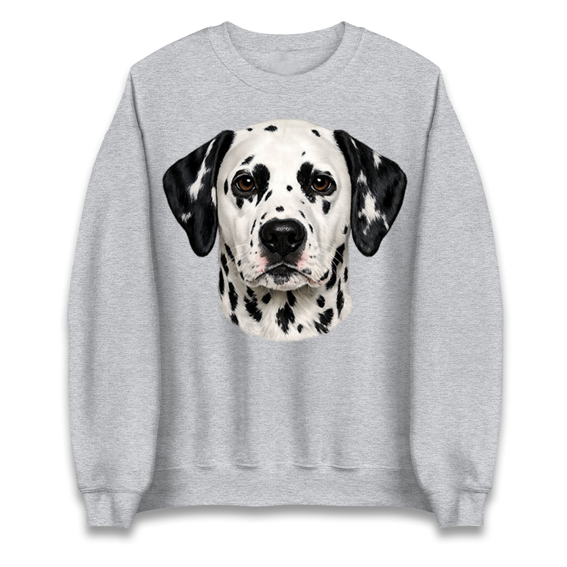 Dalmatian Dog Face Jumper