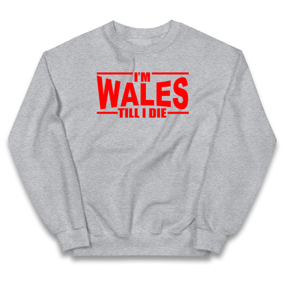 I'm Wales Till I Die Kids Jumper
