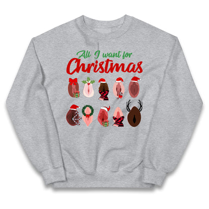 All I Want For Christmas Vagina Funny Jumper