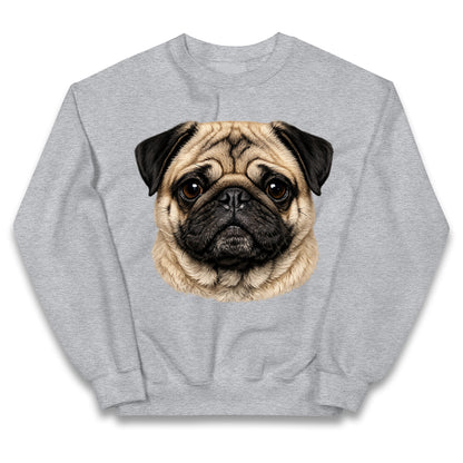 Pug Dog Face Kids Jumper