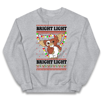 Gizmo Kids Jumper