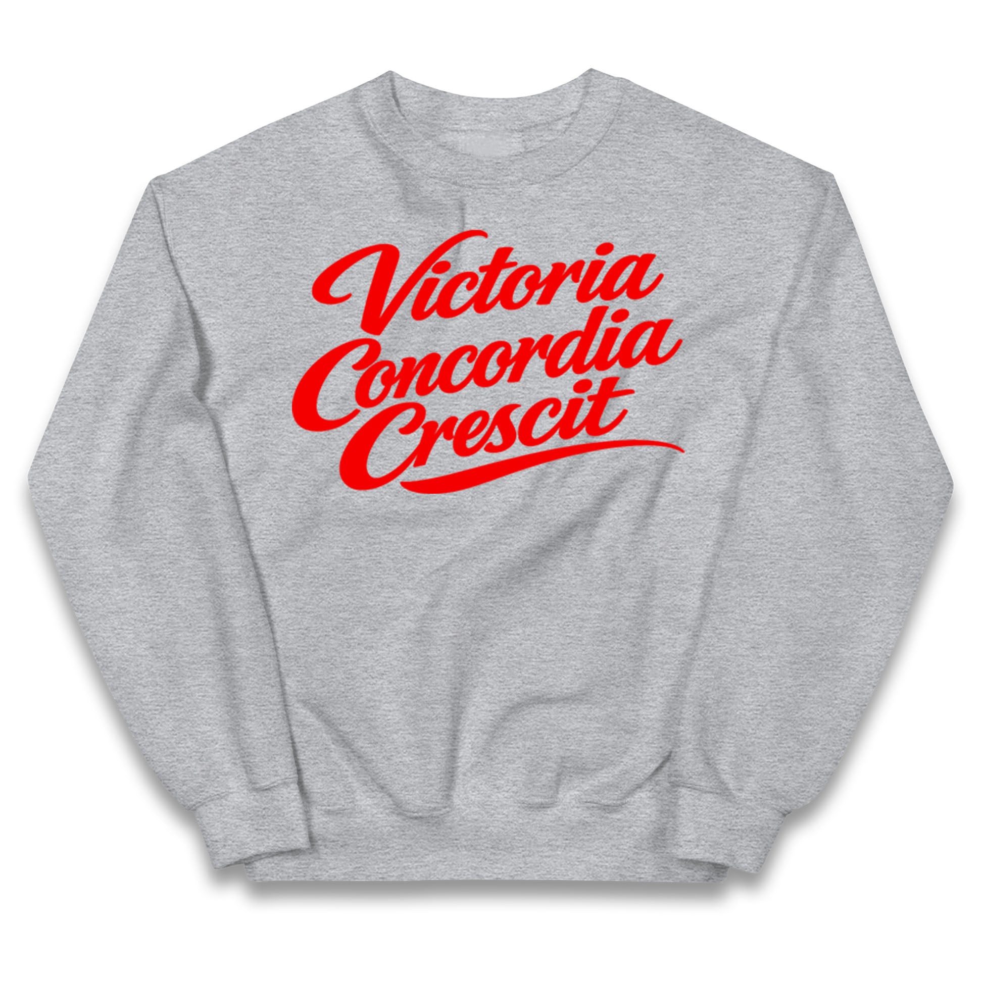 Arsenal Motto Kids Jumper
