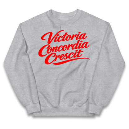 Arsenal Motto Kids Jumper
