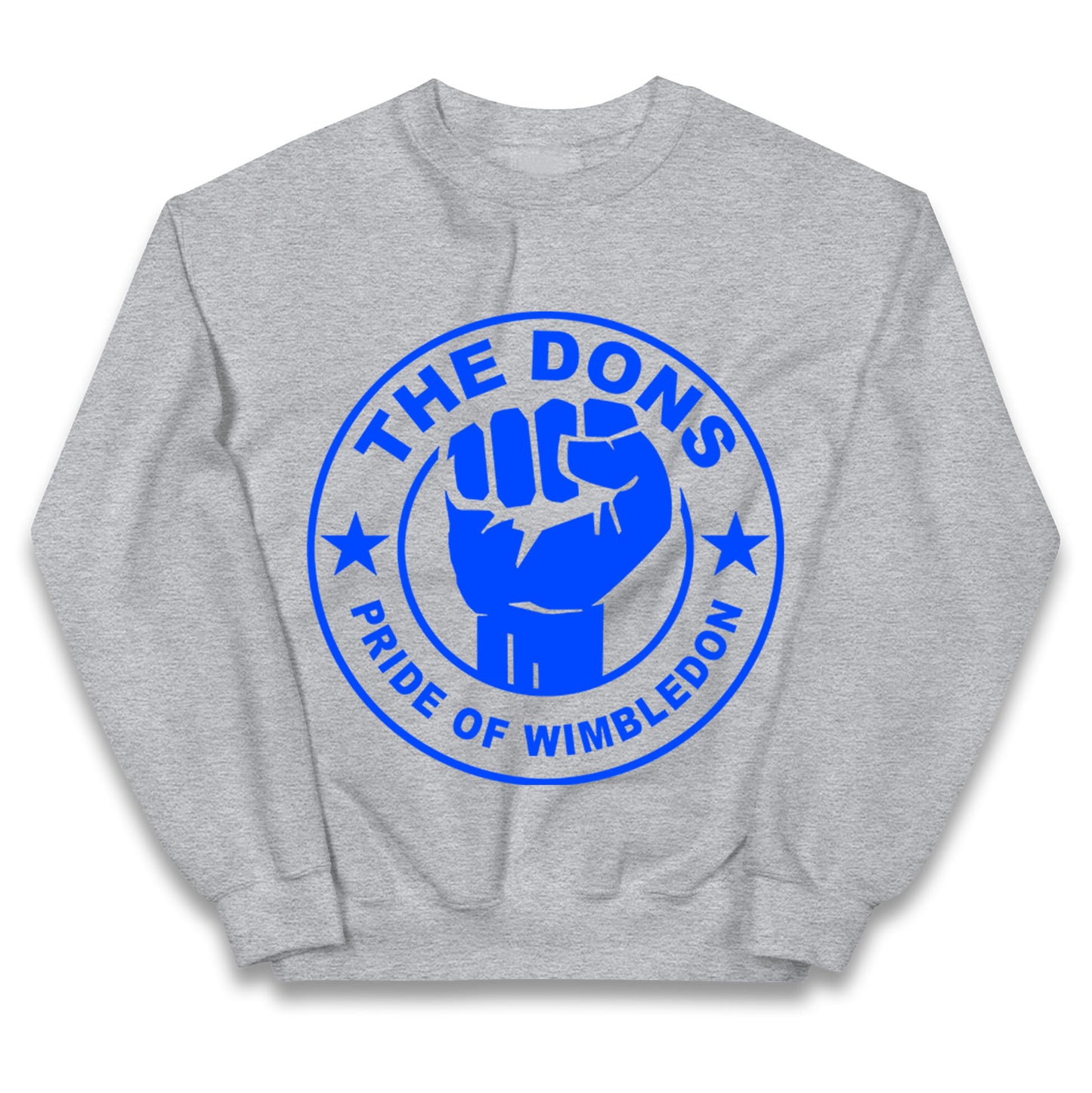 AFC Wimbledon Football Kids Jumper