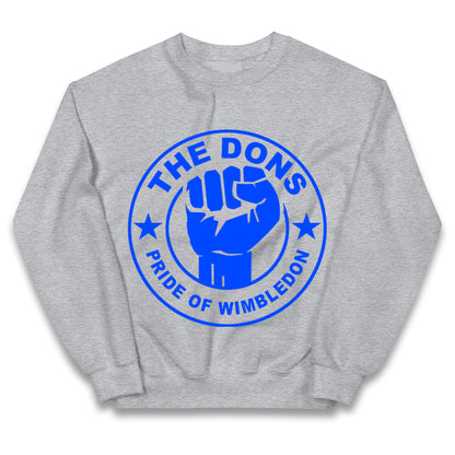 AFC Wimbledon Football Kids Jumper