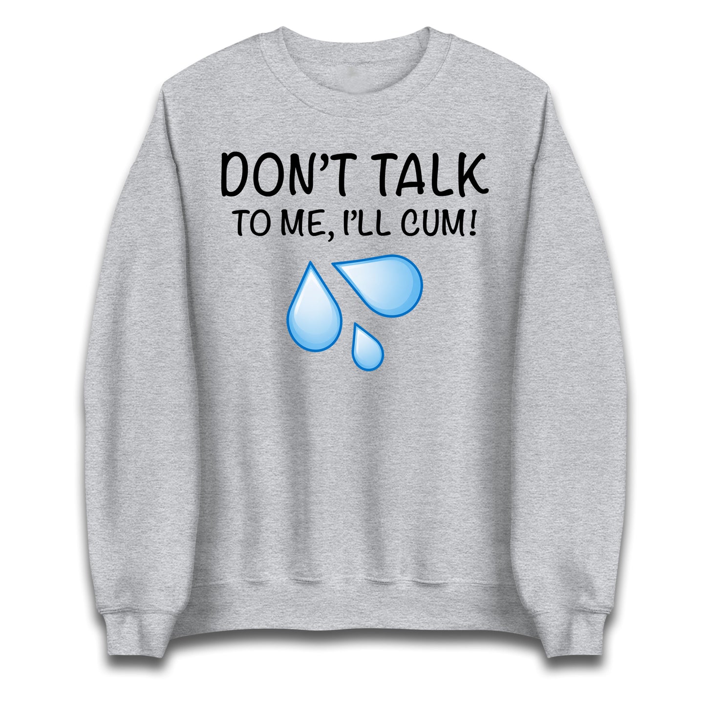 Don't Talk To Me I'll Cum Jumper