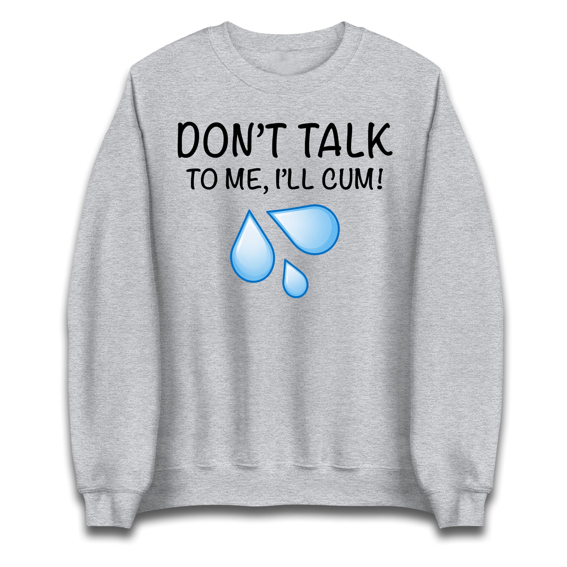 Don't Talk To Me I'll Cum Jumper