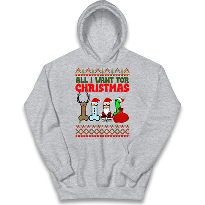 All I Want For Christmas Funny Adults Joke Hoodie