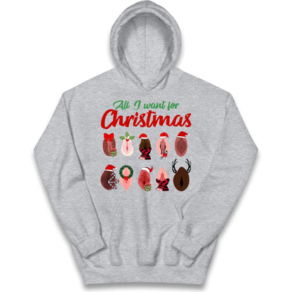 All I Want For Christmas Vagina Funny Hoodie