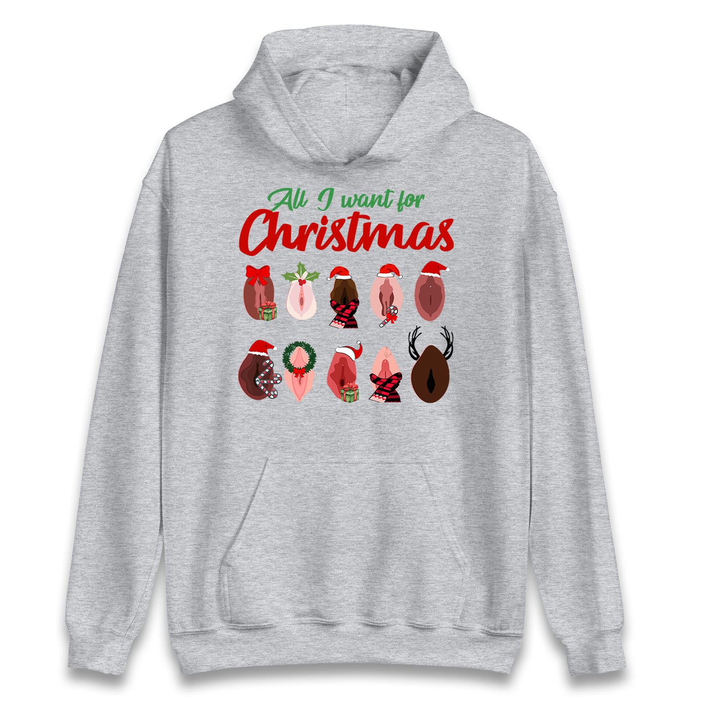 All I Want For Christmas Vagina Funny Hoodie