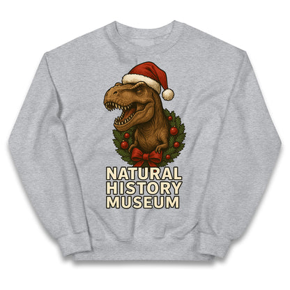 Natural History Museum Christmas Kids Jumper