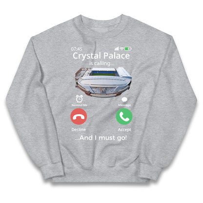 crystal palace jumper kids
