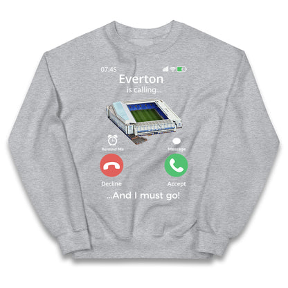 everton jumper