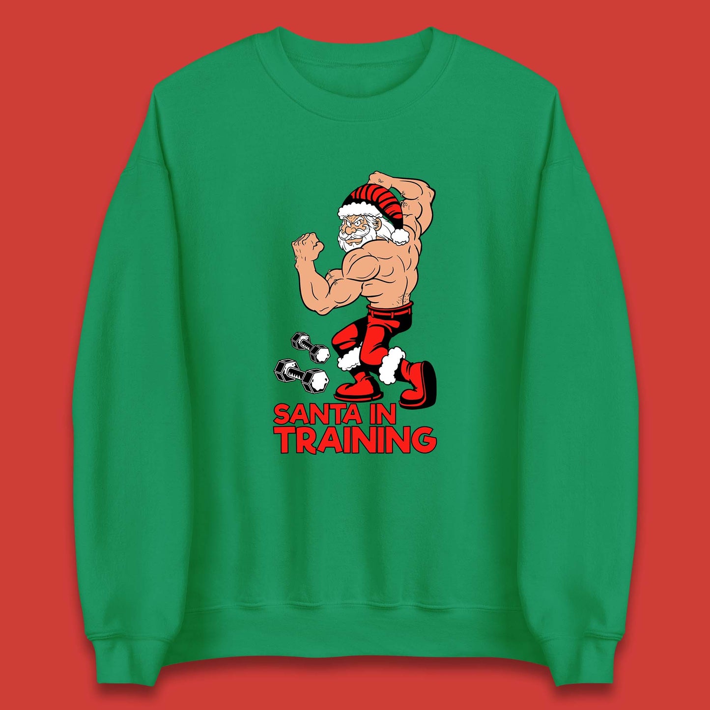 bodybuilding gym sweatshirt