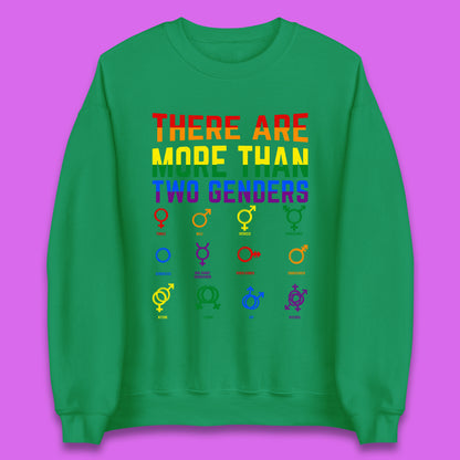 There Are More Than Two Genders Unisex Sweatshirt