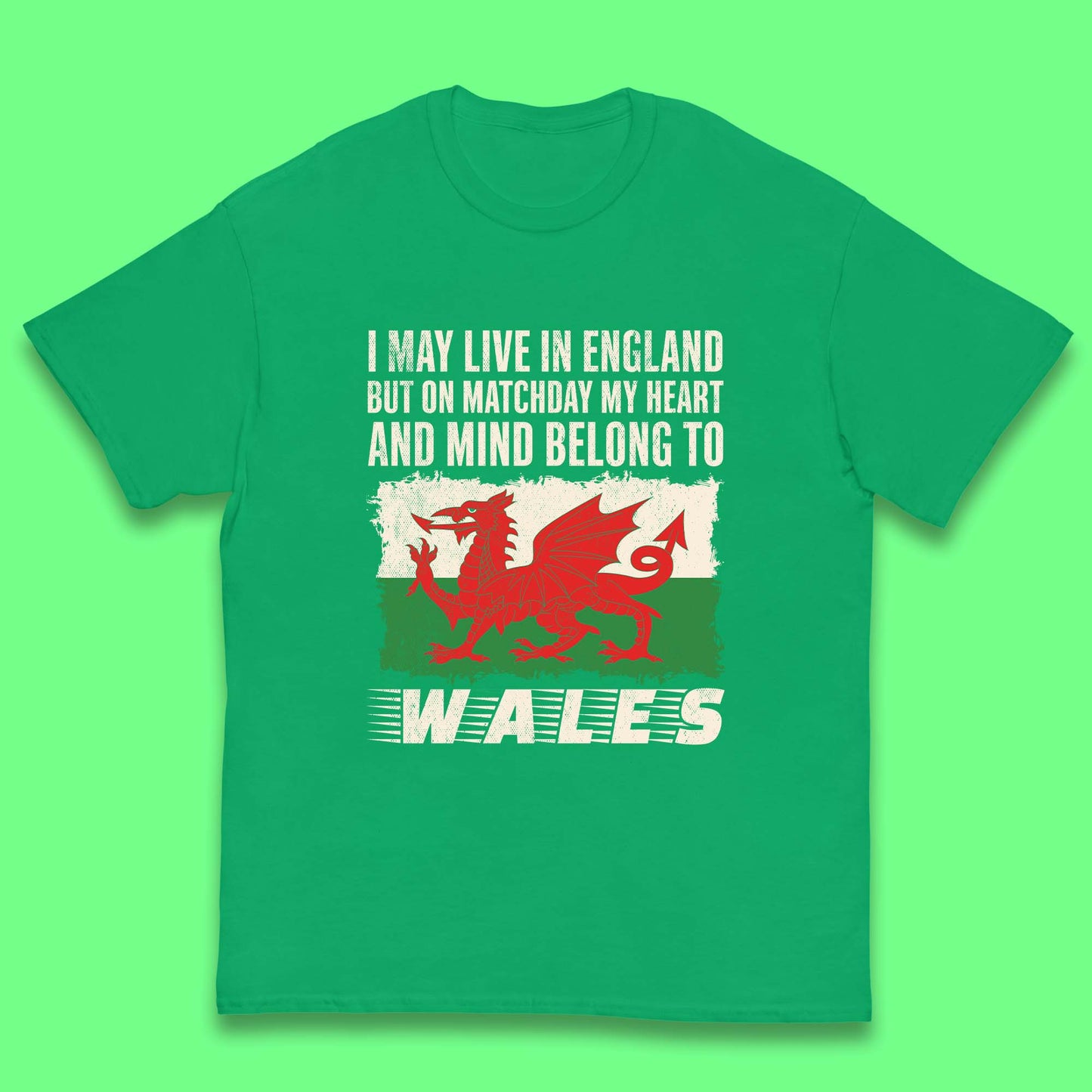 Children's Wales Football Shirt