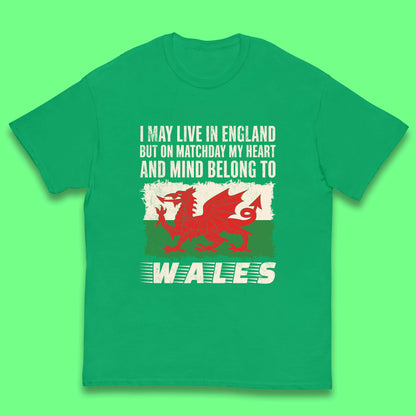 Children's Wales Football Shirt