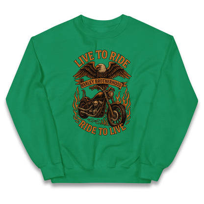 Harley Brotherhood Kids Jumper